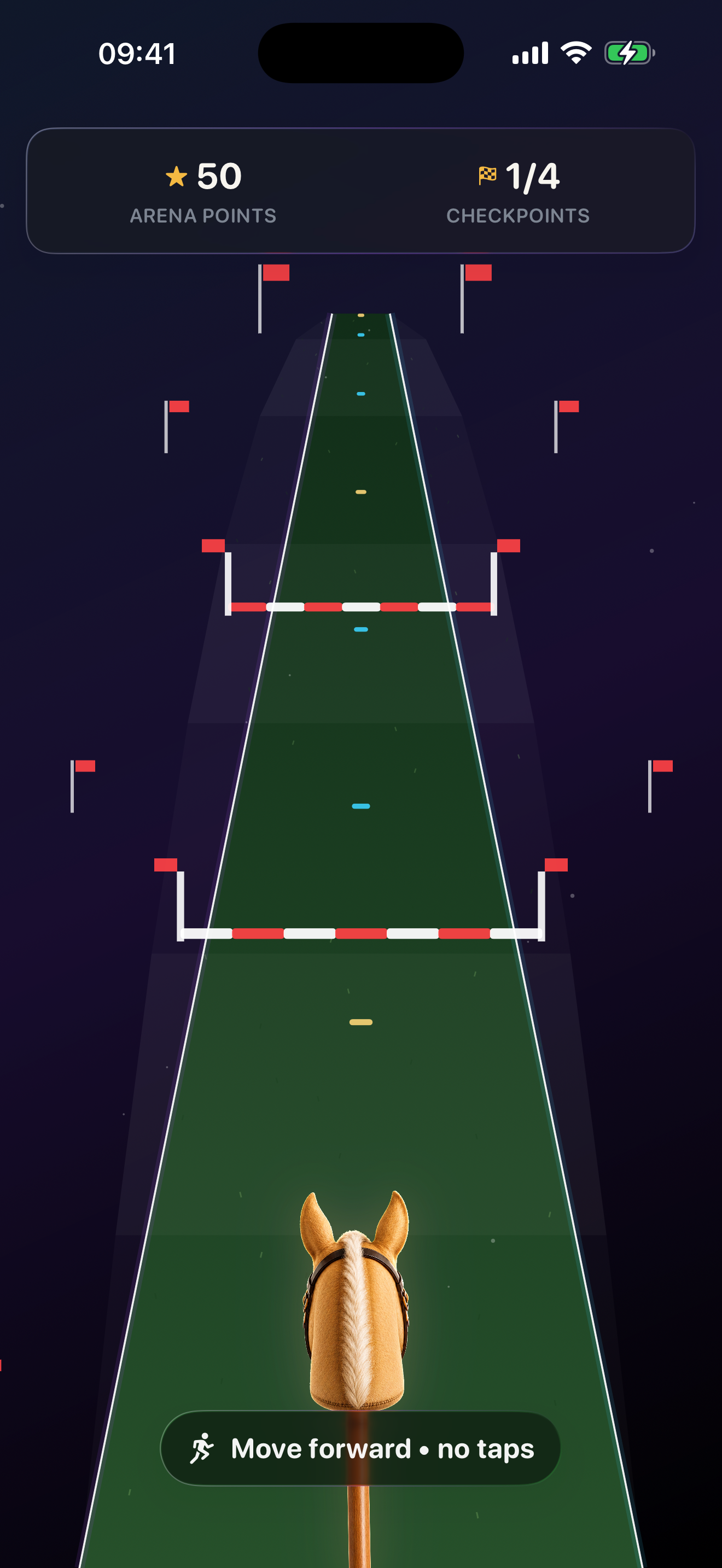 First-person Arena ride on a marked grass course with red-and-white rails, red perimeter flags, and a hobby horse on a visible stick